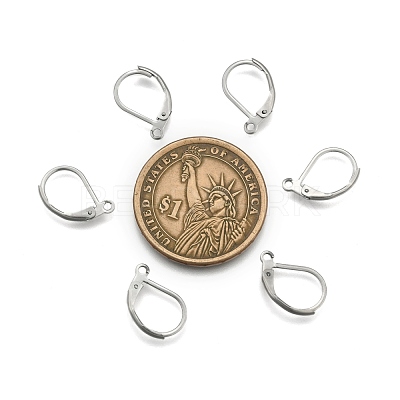Tarnish Resistant 304 Stainless Steel Leverback Earring Findings STAS-E007-3-1