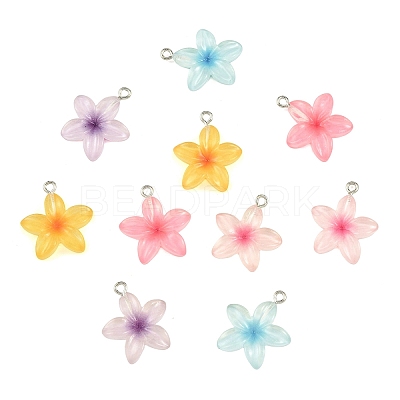 20Pcs Transparent Resin Pendants RESI-YW0006-06-1