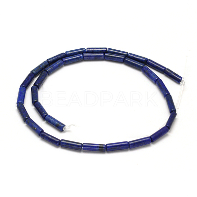 Natural Lapis Lazuli Column Bead Strands X-G-F247-13-1