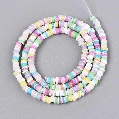 Natural Trochid Shell/Trochus Shell Beads Strands SSHEL-N040-21A-1