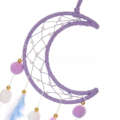 Woven Net/Web with Feather Hanging Suncatchers HJEW-F024-03B-1