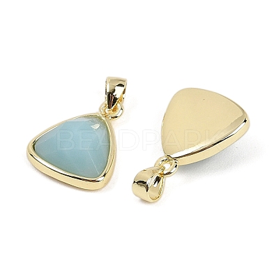 Natural Amazonite Pendants G-O176L-11G-1
