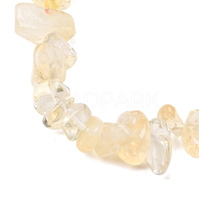 Natural Citrine Beads Strands X-G-P332-51-1
