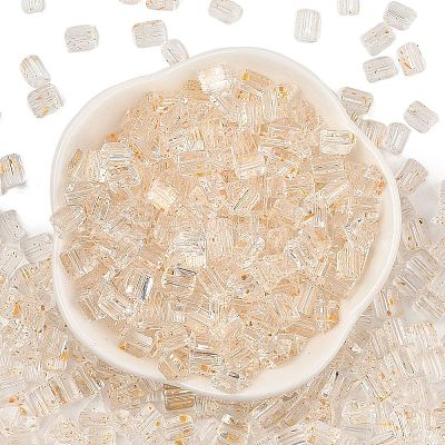 Transparent Spray Painted Glass Seed Beads SEED-L011-10A-05-1