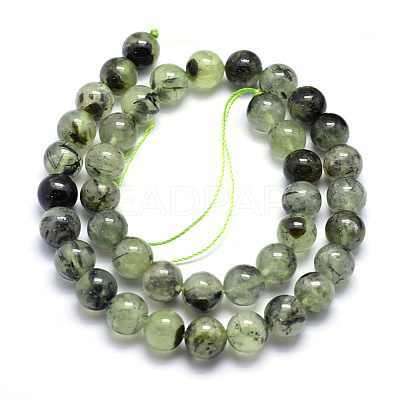 Natural Prehnite Beads Strands G-K224-03-10mm-1