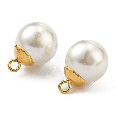 304 Stainless Steel Charms STAS-Z009-02C-G-1