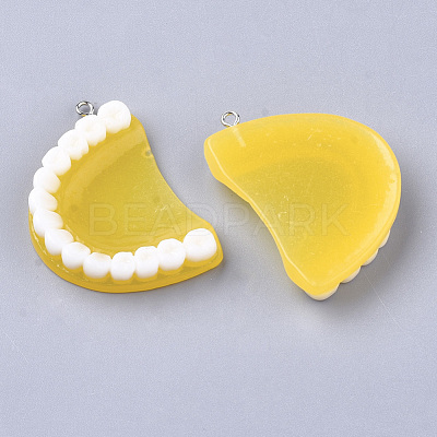 Resin Pendants RESI-T028-14-1