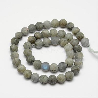 Natural Labradorite Frosted Bead Strands G-O155-04A-8mm-1