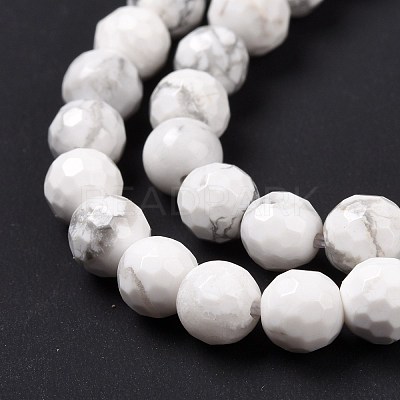 Natural Howlite Beads Strands G-E571-29A-1