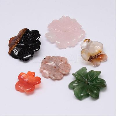 Mixed Natural Gemstone Beads G-F385-52-1