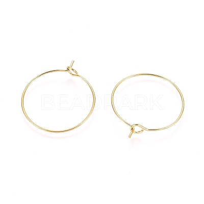 Ion Plating(IP) 316L Surgical Stainless Steel Hoop Earring Findings STAS-D164-02G-A-1