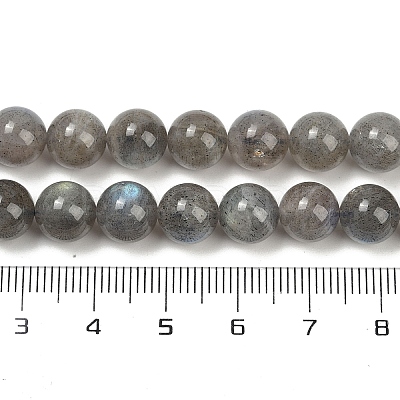 Natural Labradorite Beads Strands G-G448-8mm-04A-1