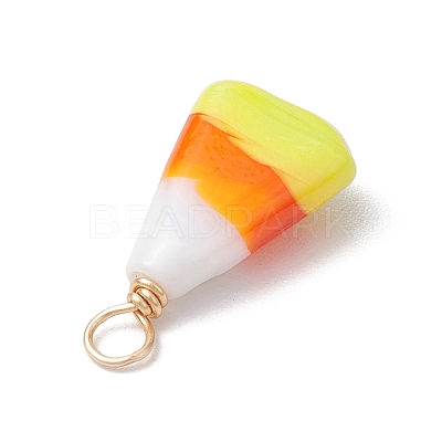 Handmade Lampwork Pendants PALLOY-JF02666-1