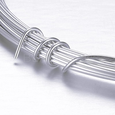 Round Aluminum Wire AW-D009-1mm-5m-21-1