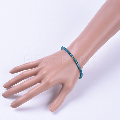 Natural Apatite Stretch Bracelets BJEW-JB04556-02-1