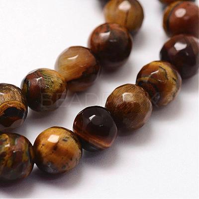 Faceted Natural Tiger Eye Beads Strands G-F364-04-8mm-1