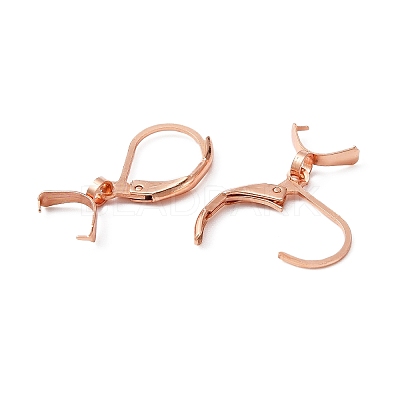 304 Stainless Steel Leverback Earring Findings STAS-WH0031-19RG-1