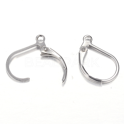Tarnish Resistant 304 Stainless Steel Leverback Earring Findings LS-STAS-M217-03-1