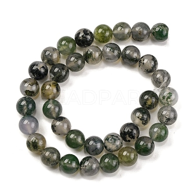 Natural Moss Agate Beads Strands G-J358-01-10MM-1