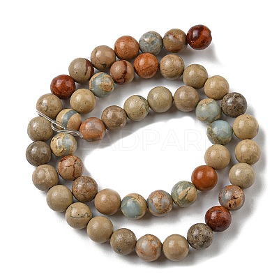 Natural Aqua Terra Jasper Beads Strands G-E444-14B-8mm-1