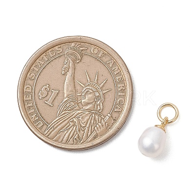 Natural Cultured Freshwater Pearl Rice Charms PALLOY-JF04830-1