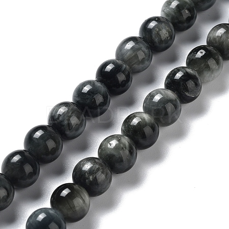 Natura Hawk's Eye Beads Strands G-D0001-22B-8mm-01-1