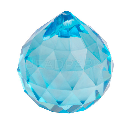 K9 Glass Pendants HJEW-PW0006-01E-1