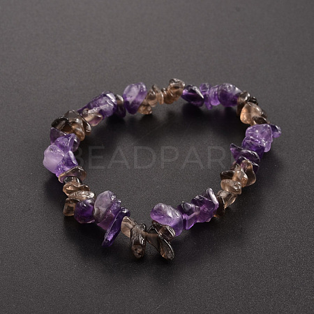 Chips Gemstone Beaded Stretch Bracelets X-BJEW-JB01824-05-1