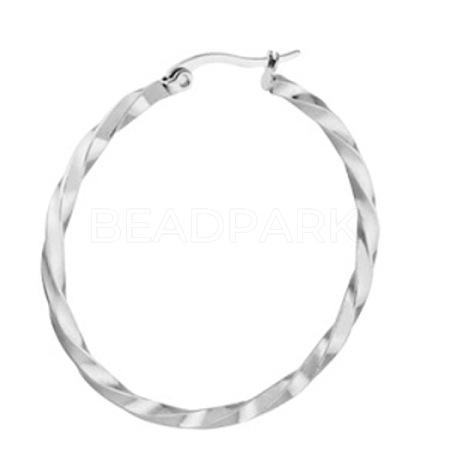 Titanium Steel Hoop Earrings STAS-TAC0001-11C-P-1