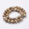 Natural Gemstone Beads Strands GSR12mmC016-3