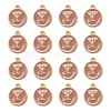 Golden Plated Alloy Enamel Charms X-ENAM-S118-07Y-2