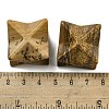 Natural Picture Jasper Beads G-A206-01B-56-3