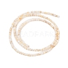 Natural Freshwater Shell Beads Strands X-SHEL-T011-02-4mm-2