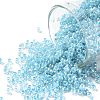 TOHO 11/0 Round Beads X-SEED-TR11-0918-1