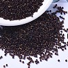 MIYUKI Delica Beads X-SEED-J020-DB1002-1