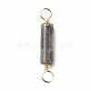 Natural Larvikite Connector Charms PALLOY-JF01454-05-3