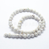 Natural Magnesite Beads Strands X-G-I199-27-12mm-2