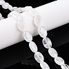 Natural Quartz Crystal Beads Strands G-M206-33-1