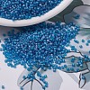 MIYUKI Delica Beads X-SEED-J020-DB0862-1