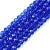 Glass Beads Strands EGLA-A044-T4mm-D31-1