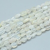 Natural White Moonstone Beads Strands G-L550A-01-1