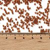 Baking Paint Glass Seed Beads X-SEED-S042-18B-01-4