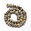 Natural Dalmatian Jasper Gemstone Nuggets Bead Strands X-G-J337-31-2