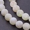 Natural Weathered Agate Beads Strands G-G589-10mm-03-3