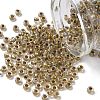 TOHO 6/0 Round Beads X-SEED-TR06-0262-1