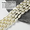 Grade A Glass Pearl Beads HY-AB426-EM107-2