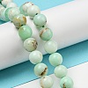 Natural Green Opal Beads Strands G-R494-A08-03-4