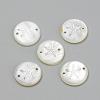 Freshwater Shell Links connectors SHEL-Q009-001P-1