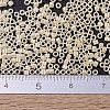 MIYUKI Delica Beads SEED-X0054-DB1560-3