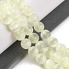 Natural Selenite Beads Strands G-C142-01C-05-2
